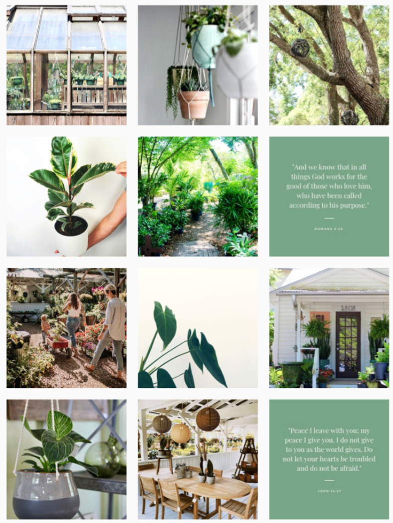 Garden centre feed aesthetic — greenhouse scenes, plants and sage green quote tiles